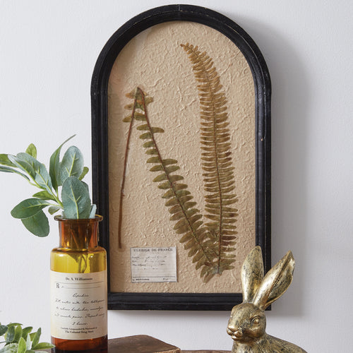 Pressed Botanical Boston Fern Wall Art