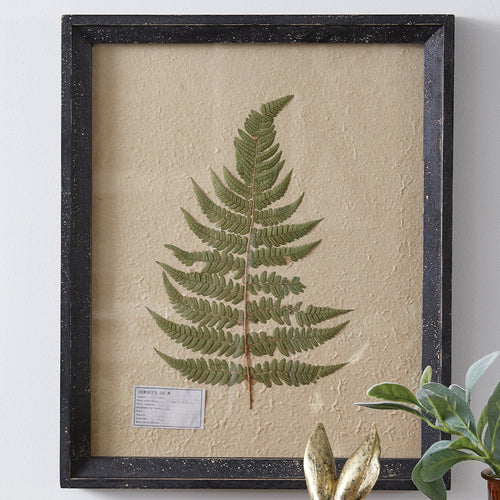 Pressed Botanical Lady Fern Wall Art