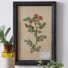 Pressed Botanical Japanese Rose Wall Art