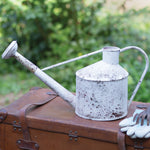 Speckled Rose Watering Can