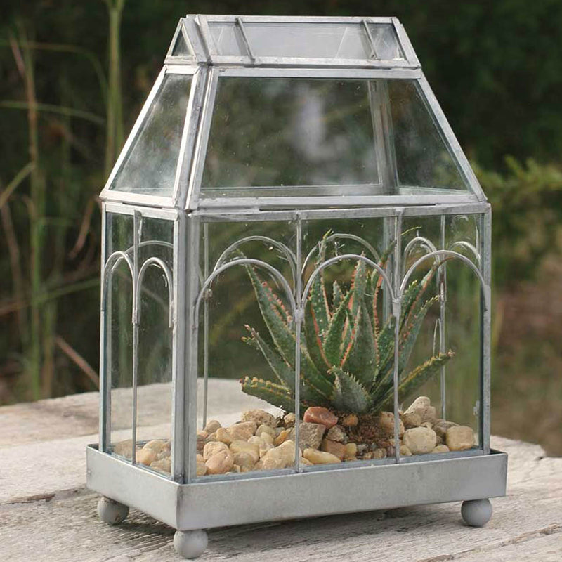 Archway Glass Terrarium