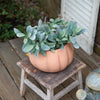 Pumpkin Terra Cotta Pot