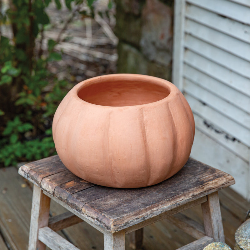 Pumpkin Terra Cotta Pot