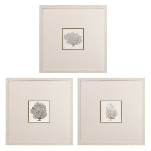 Rodriguez Corals A Framed Art Set of 3