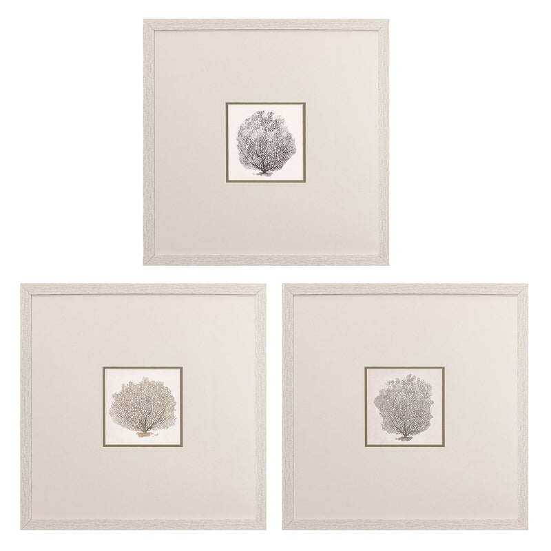 Rodriguez Corals B Framed Art Set of 3