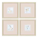 Nai Swifts Framed Art Set of 4