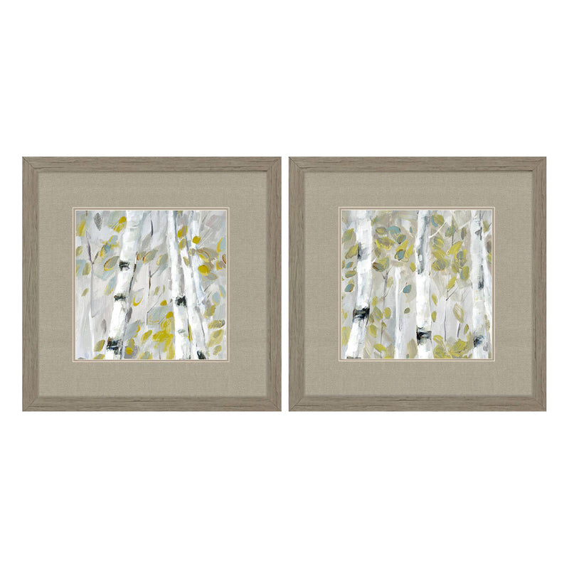 Parker Patterns Framed Art Set of 2