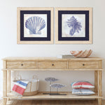 Zalewski Coastal Sea Shell Framed Art Set of 2