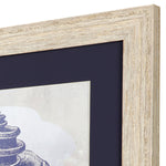 Zalewski Coastal Sea Shell Framed Art Set of 2