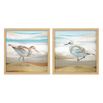 Haley Sandpiper Framed Art Set of 2