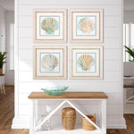 Sea Shell Framed Art Set of 4