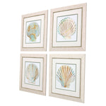 Sea Shell Framed Art Set of 4