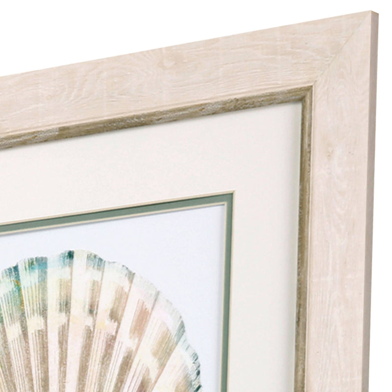 Sea Shell Framed Art Set of 4