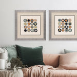 Barnes Coin Collection I Framed Art