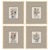 Nohren Floral Sketch Framed Art Set of 4