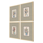 Nohren Floral Sketch Framed Art Set of 4