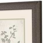 Medley Serenity Leaves Framed Art Set of 2