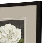 Hegre Flowers in Bloom Framed Art Set of 2