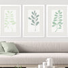 Vess Soft Sprig Trio II Framed Art