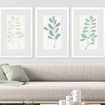 Vess Soft Sprig Trio II Framed Art