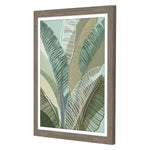 Kouta Tropical Botanical II Framed Art