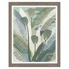 Kouta Tropical Botanical III Framed Art