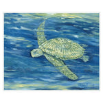 Brent Lagoon Turtle II Canvas Art