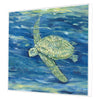 Brent Lagoon Turtle II Canvas Art