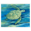 Brent Lagoon Turtle III Canvas Art