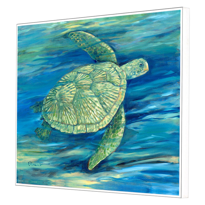 Brent Lagoon Turtle III Canvas Art