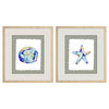 Nohren Fun Sea Life Framed Art Set of 2