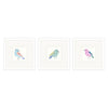 Inspire Studio Conversation Birds I Framed Art Set of 3