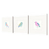 Inspire Studio Conversation Birds I Framed Art Set of 3