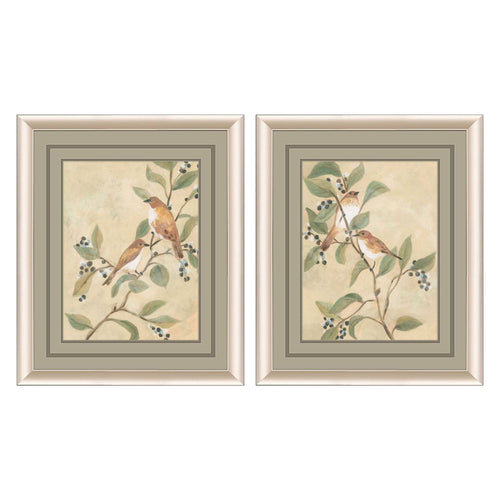 Vess Songbird Fresco Framed Art Set of 2