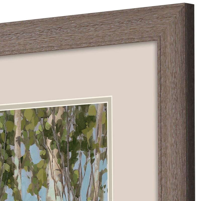 Copenhaver Aspen Spring Framed Art Set of 2