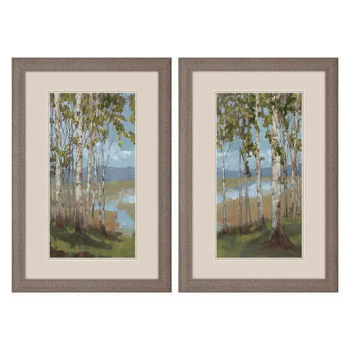 Copenhaver Aspen Spring Framed Art Set of 2