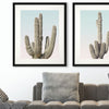 Pienaar Saguaro I Framed Art