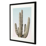 Pienaar Saguaro I Framed Art