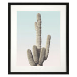 Pienaar Saguaro II Framed Art