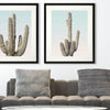 Pienaar Saguaro II Framed Art