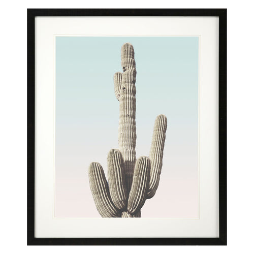 Pienaar Saguaro II Framed Art