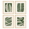 Watts Tropical Flourish Framed Art Set of 4