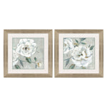 Aria K White Florals Framed Art Set of 2