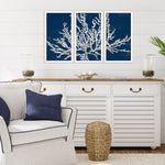 Loreth Coastal Coral Framed Art Set of 3