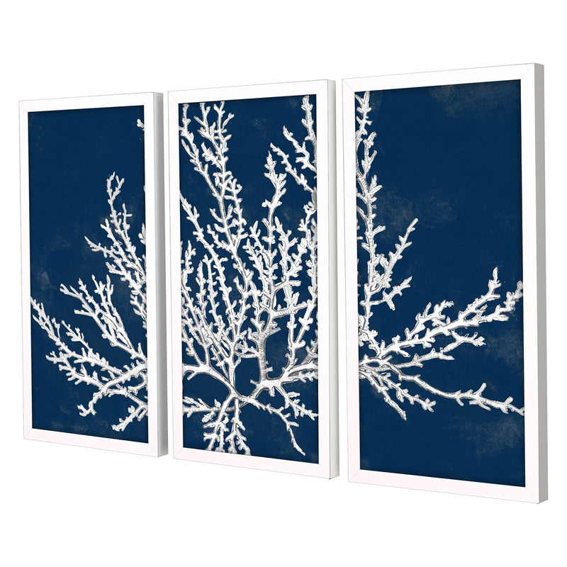 Loreth Coastal Coral Framed Art Set of 3