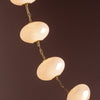 Corbett Lighting Nephele Chandelier