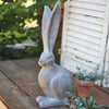 Long Eared Hare Garden Sculpture