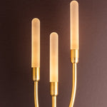 Corbett Lighting Amalthea Wall Sconce