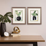 Loreth Little Plants Framed Art Set of 2