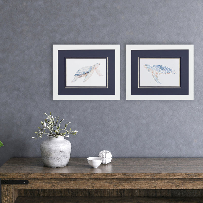 Pinto Sea Turtle Framed Art Set of 2